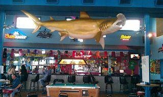 Interior of Sharkies with a suspended shark above the bar and a pool table